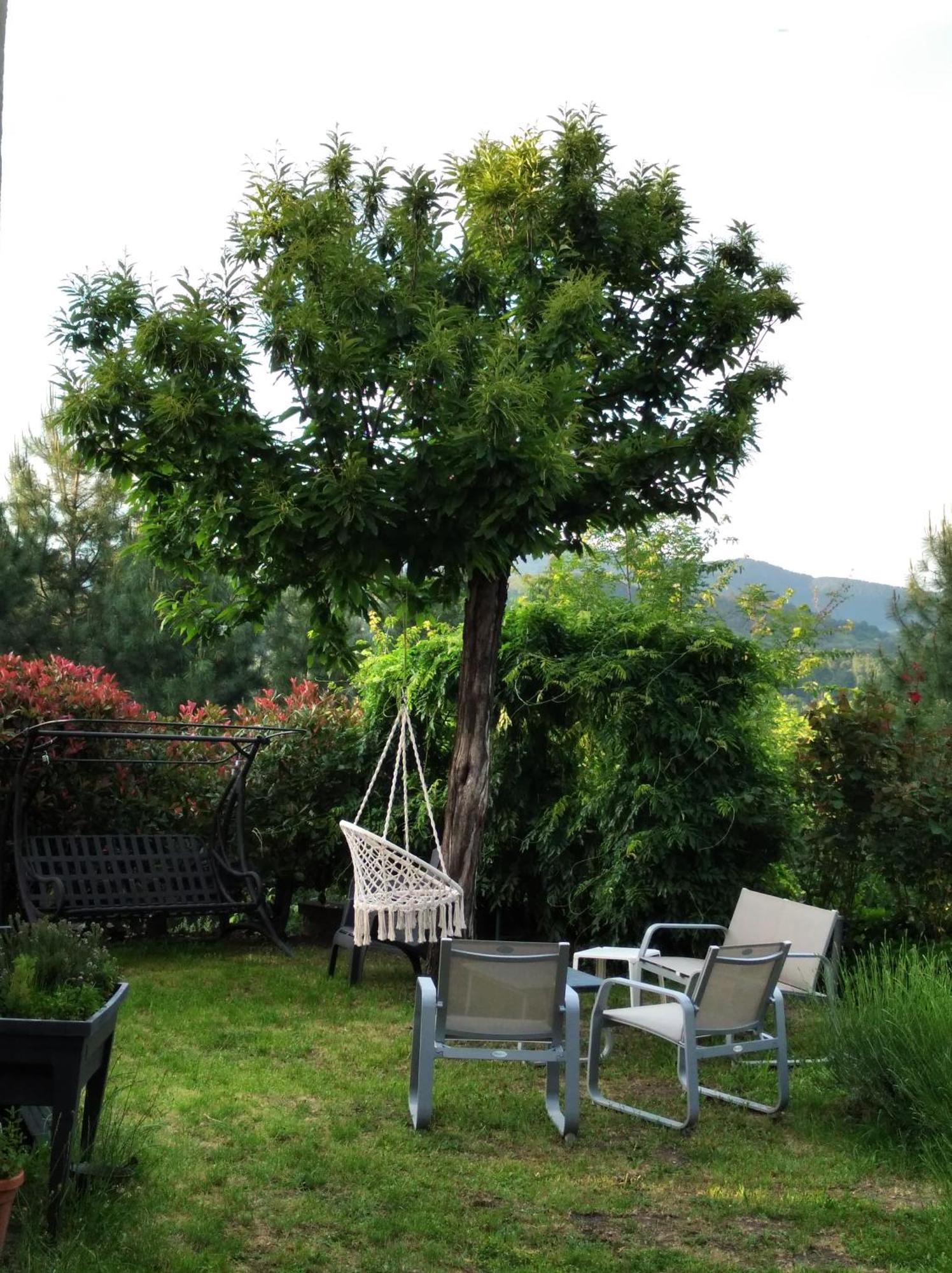 Le Ptit Crouzon Appartement Prades  Buitenkant foto